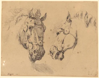 Dos cabezas de caballo