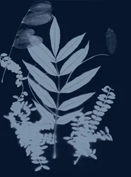 Cyan Foliage 01, 2017 (digital)