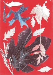 Jol XII, 2017 (monocopia sobre papel)