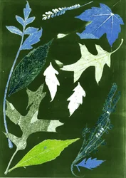 Jol X verde, 2017 (digital)