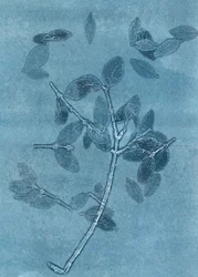 Jardín de medianoche I, 2015