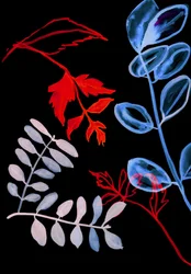 Flora nocturna IV, 2018 (digital)