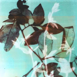 Temporada III, 2018 (digital)