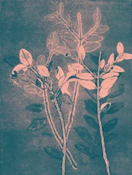 Temporada VI, 2018 (digital)