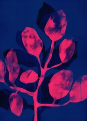Jardín de verano III rosa, 2018 (digital)