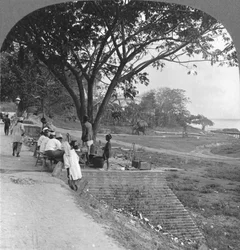 Frente y banco del río, Bhamo, Birmania, 1908