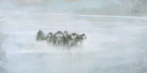 Manada de lobos del Ártico