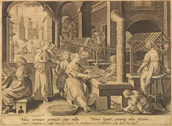 Extracción de seda Vermis sericus, después de 1640