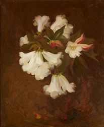 Naturaleza muerta de lirios blancos