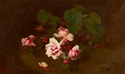 Rosas en flor