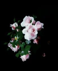 Rosas rosas. Pintura de Stuart Park (1862-1933) Colección particular.