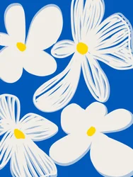 Alegre floración blanca