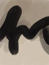 Curva negra fluida