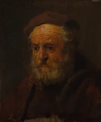 Estudio de la cabeza de un anciano