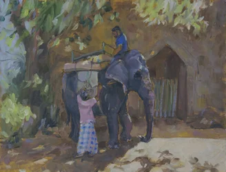 Elefante, Sri Lanka