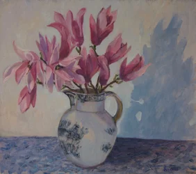 Magnolias rosas