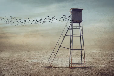 Aves sobre la torre de vigilancia solitaria