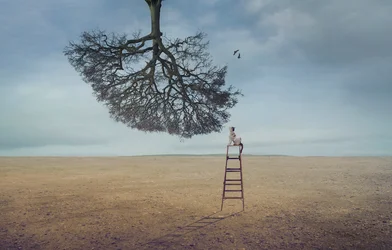 Contemplación del árbol flotante