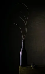 Naturaleza muerta con botella oscura