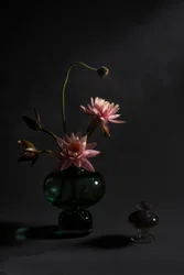 Elegantes lirios rosas