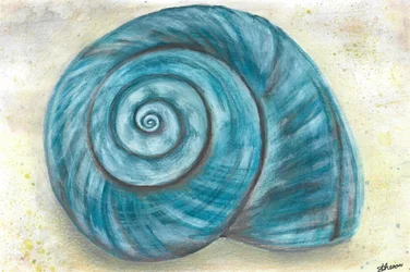 Concha azul en espiral