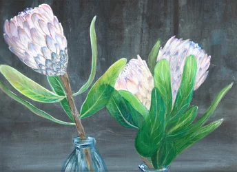 Naturaleza muerta con protea rosa