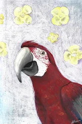 Floración de los guacamayos tropicales