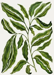 Hojas verdes ecológicas