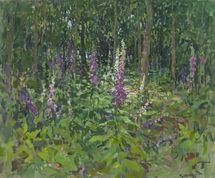 Dedaleras