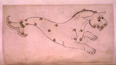 Constelaciones: Cetus, la ballena