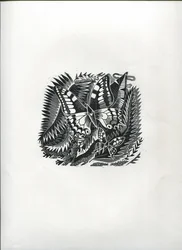 Mariposas tropicales (grabado en madera)