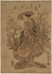 Vendedor de flores