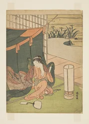 Joven mujer emergiendo de la mosquitera