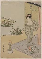 Joven mujer mirando una maceta de claveles, c. 1767