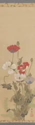 Amapolas, mediados del siglo XIX