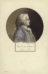 Carl Linnaeus (1707-1778), botánico y zoólogo sueco