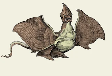 Monstruo marino fantástico, ilustración de 
