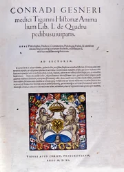 Portada de 