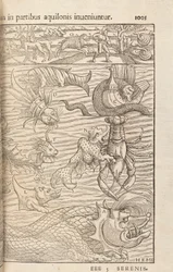 Página 1005 de Cosmographiae Universalis por Sebastian Muenster, Basilea, 1572