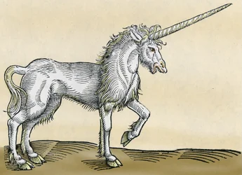 Unicornio, ilustración de Historiae Animalium de Conrad Gesner, 1551