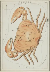 Cáncer, Ilustración de 