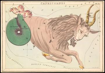 Capricornus, c.1825 (cartulina, papel, tejido )