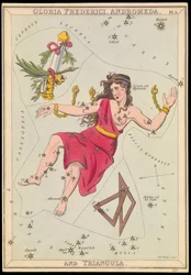 Gloria Frederich, Andrómeda y Triángulo, c.1825 (cartulina, papel, tejido )