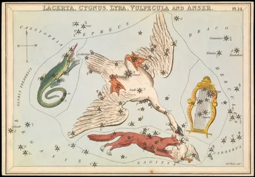Lacerta, Cygnus, Lyra, Vulpecula y Anser, c.1825 (cartulina, papel, tejido)