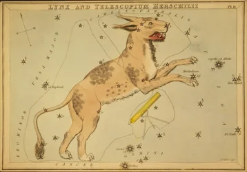 Lince y Telescopium Herschilii, Ilustración de 