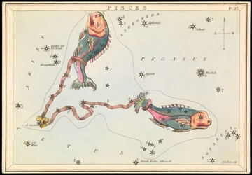 Piscis, c.1825 (cartulina, papel, tejido )