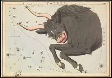 Taurus, c.1825 (cartulina, papel, tejido )