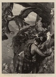 Dibujando un nido de águilas en las Tierras Altas, una visita esperada momentáneamente