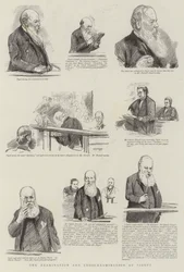 El examen y el contraexamen de Pigott