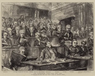 El Caso Tichborne, Pro y Contra